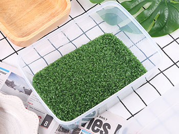 Zhejiang Sonly Intelligent Equipment Co., Ltd.